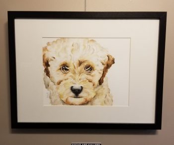 Nala: TP Trailing Toddler Labradoodle - Image 2