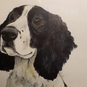 Oscar: Bouncing Buddy Springer