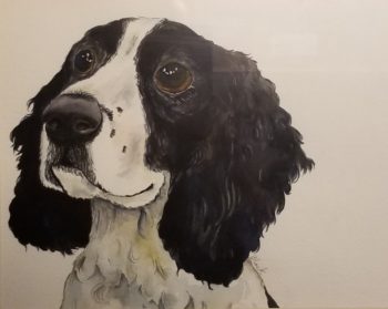 Oscar: Bouncing Buddy Springer