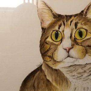 Mitzy: Unusually Uninhibited Tabby