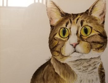 Mitzy: Unusually Uninhibited Tabby