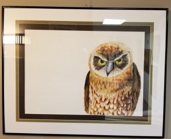 Angry Athena: Owl - Image 2