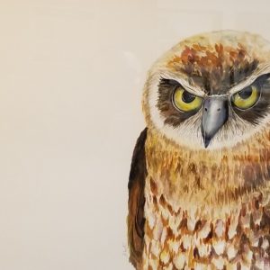 Angry Athena: Owl