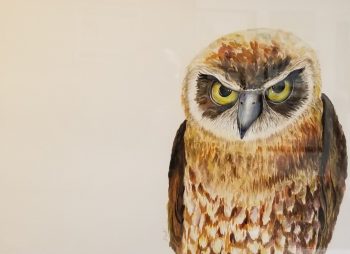 Angry Athena: Owl