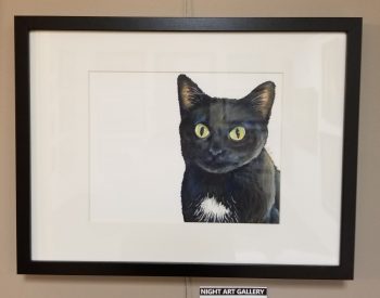 Sage: Lucky Loving Domestic Cat - Image 2
