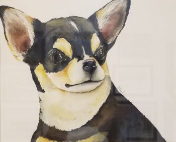 Peanut: Mood Boosting Model Chihuahua