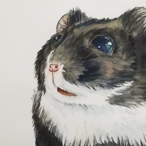 Hammie: Eager Entertainer Hamster