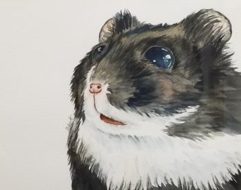 Hammie: Eager Entertainer Hamster