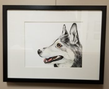 Neiko: Well-mannered Winter Husky - Image 2