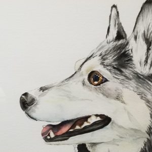 Neiko: Well-mannered Winter Husky