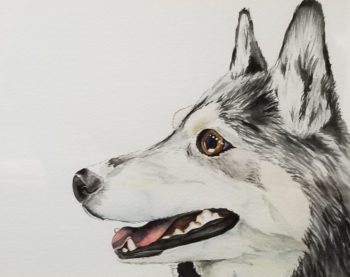 Neiko: Well-mannered Winter Husky