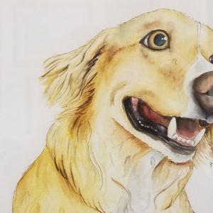 Winnie: Runaround Returnee Shepherd Mix
