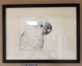 Sugar: Vibrant Velcro Umbrella Cockatoo - Image 2