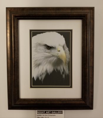 Eagle - Image 2