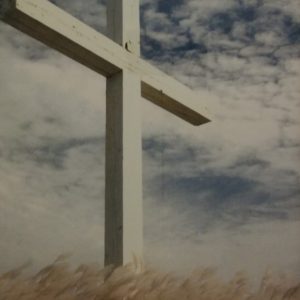 Field Cross