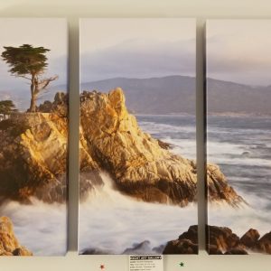 Ocean Rocks