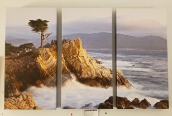 Ocean Rocks
