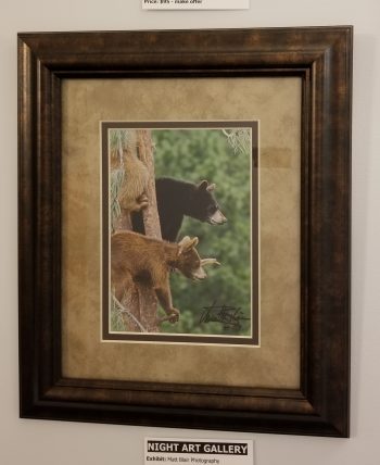 The Bears - Image 2