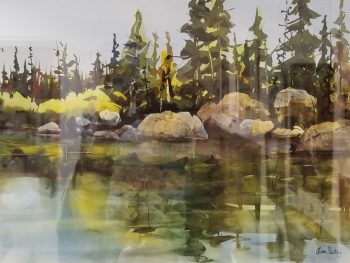 Northern Woods