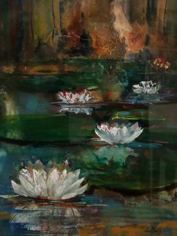 Water Lillies