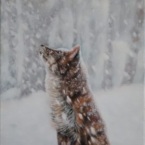 Winter Fox