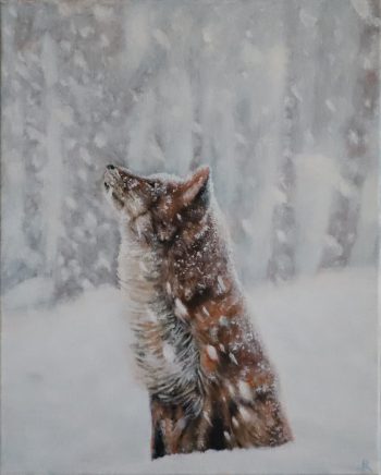 Winter Fox