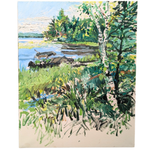 Chisago Lake