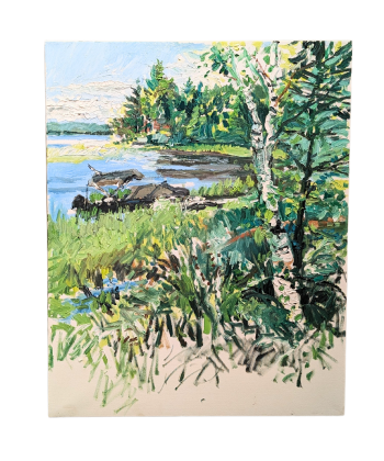Chisago Lake